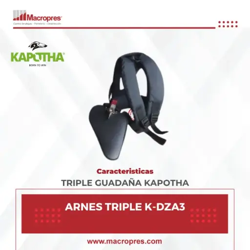 [EXPO-41] ARNES TRIPLE K-DZA3 (EXPO)