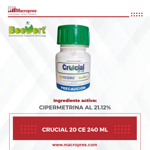 [BEER-05] CRUCIAL 20 CE 240 ML
