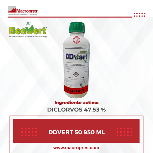 [BEER-17] DDVERT 50 240 ML