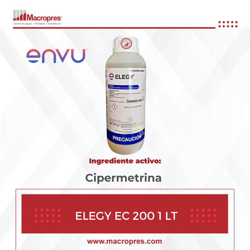 [BAYH-64] ELEGY EC 200 1 LT X 12