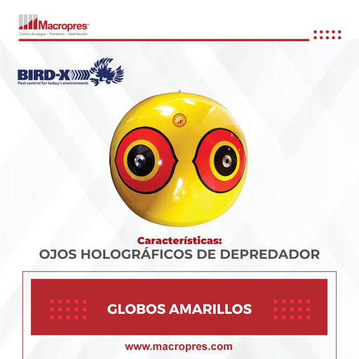 [BIRD-02] GLOBOS AMARILLOS