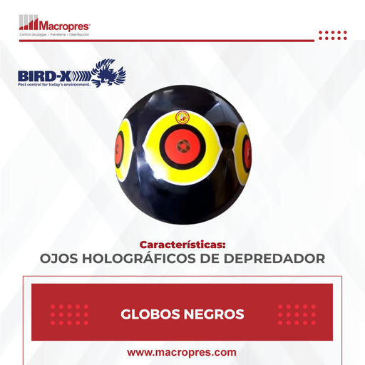 [BIRD-03] GLOBOS NEGROS