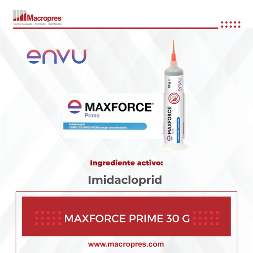 [BAYH-67] MAXFORCE PRIME GEL 30 G X 48