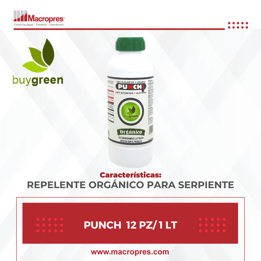 [BUYG-08] PUNCH  12 PZ/ 1 LT