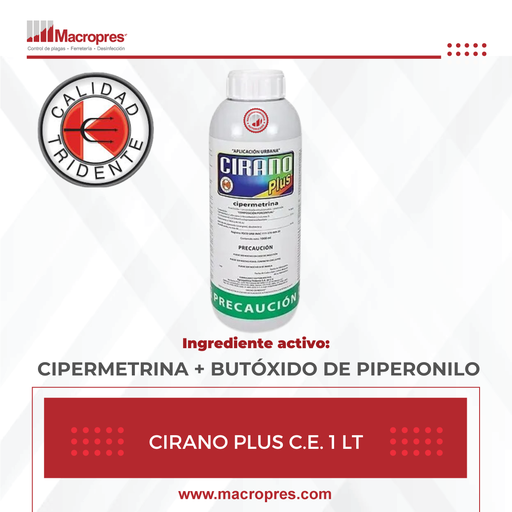 [TRID-12] T-CIRANO PLUS C.E. 1 LT X 15