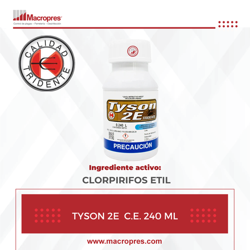 [TRID-36] T-TYSON 2E  C.E. 240 ML X 32