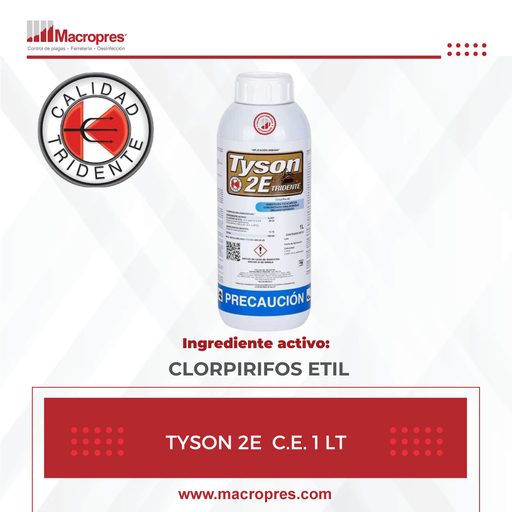 [TRID-37] T-TYSON 2E C.E. 1 LT X 15